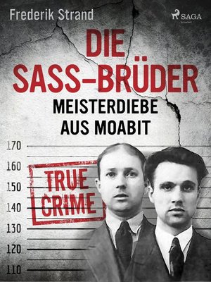 cover image of Die Sass-Brüder